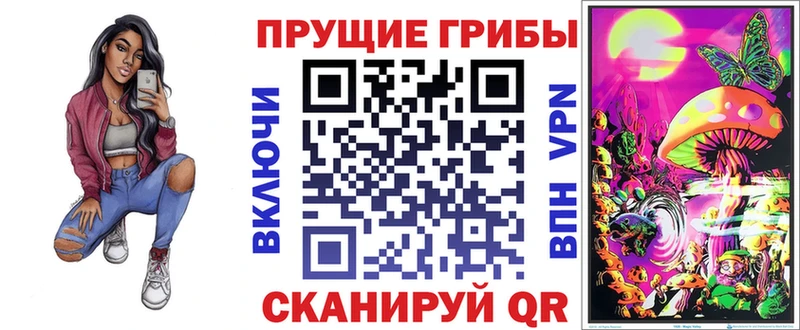 Псилоцибиновые грибы Psilocybe Губкинский