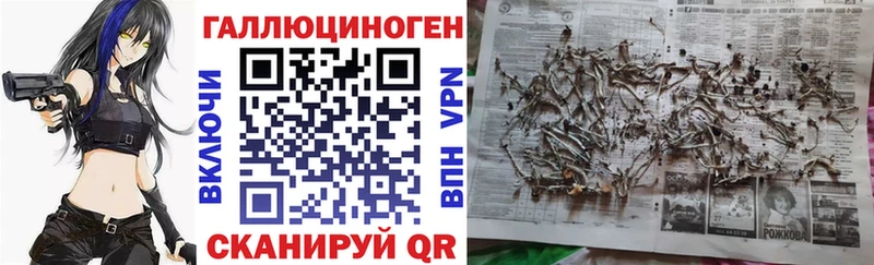 Псилоцибиновые грибы Magic Shrooms Губкинский